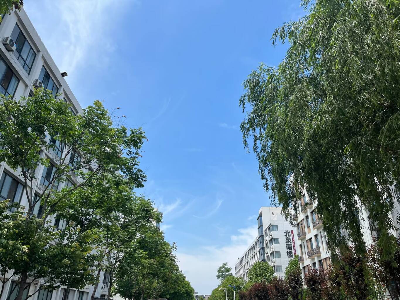 南香香 南香香