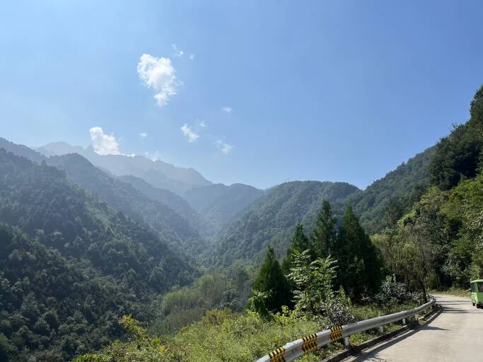 南香香 南香香
