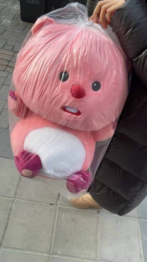 南香香 南香香